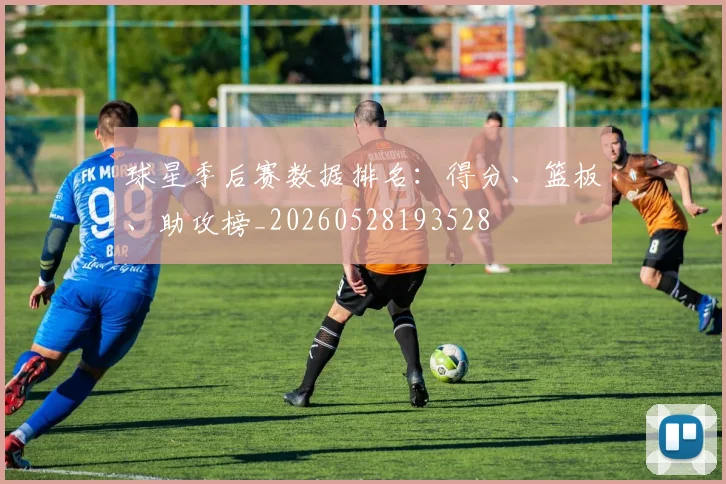 球星季后赛数据排名:得分、篮板、助攻榜_20260528193528