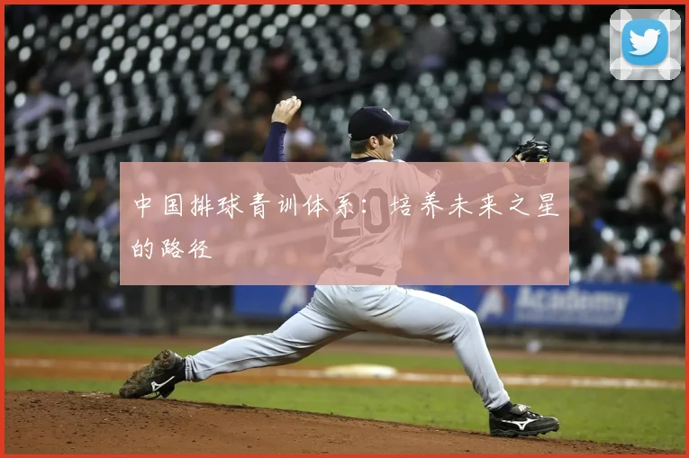 中国排球青训体系:培养未来之星的路径