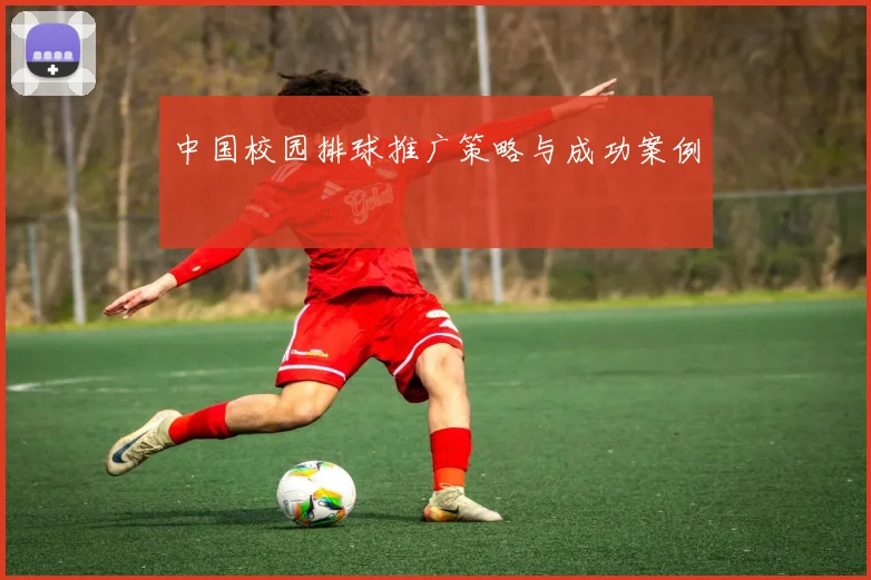 中国校园排球推广策略与成功案例
