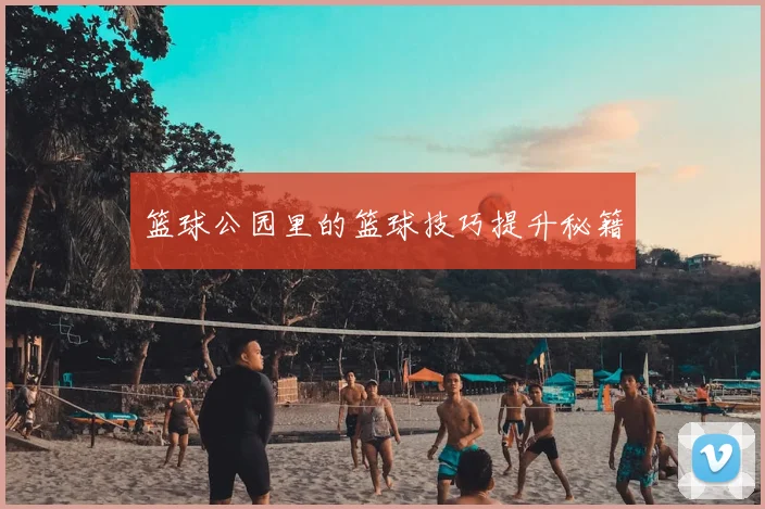 篮球公园里的篮球技巧提升秘籍