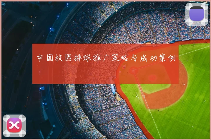 中国校园排球推广策略与成功案例